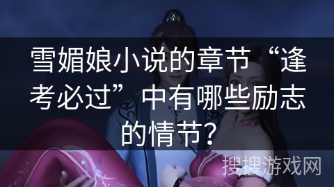 雪媚娘小说的章节“逢考必过”中有哪些励志的情节？