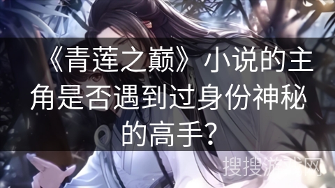 《青莲之巅》小说的主角是否遇到过身份神秘的高手？