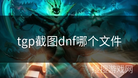 tgp截图dnf哪个文件