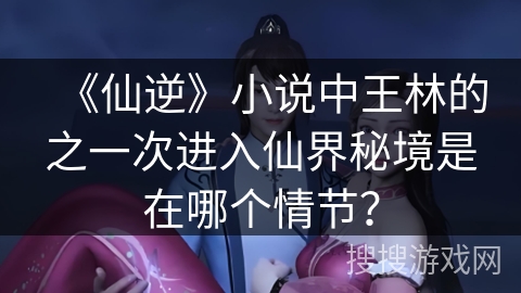 《仙逆》小说中王林的之一次进入仙界秘境是在哪个情节？
