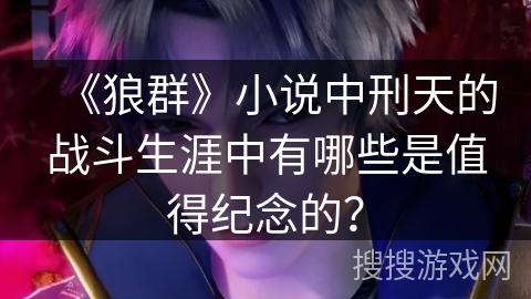 《狼群》小说中刑天的战斗生涯中有哪些是值得纪念的？