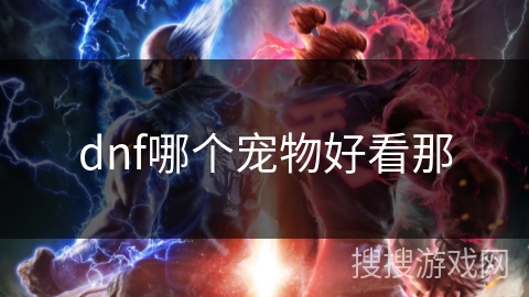 dnf哪个宠物好看那