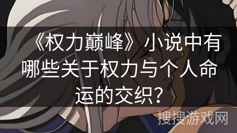 《权力巅峰》小说中有哪些关于权力与个人命运的交织？