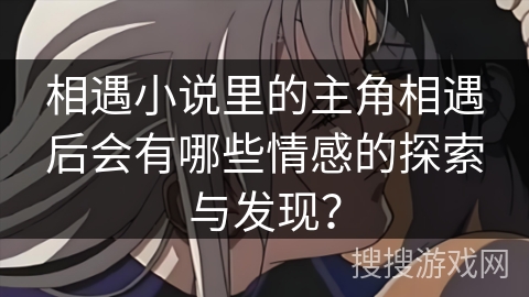 相遇小说里的主角相遇后会有哪些情感的探索与发现？