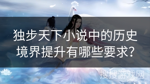 独步天下小说中的历史境界提升有哪些要求？