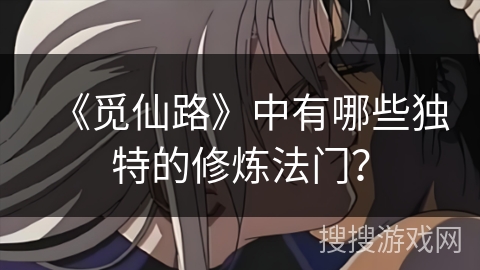 《觅仙路》中有哪些独特的修炼法门？