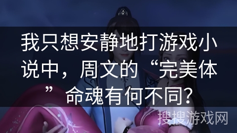 我只想安静地打游戏小说中，周文的“完美体”命魂有何不同？