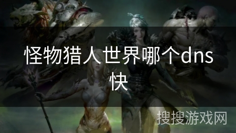 怪物猎人世界哪个dns快