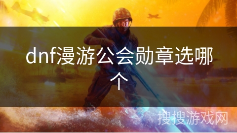dnf漫游公会勋章选哪个