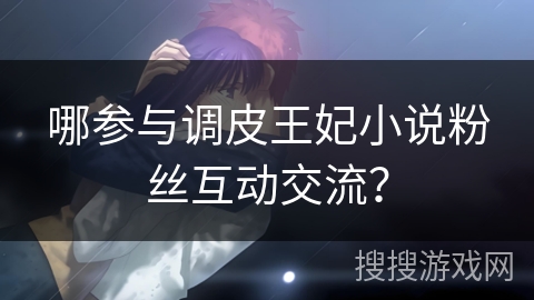 哪参与调皮王妃小说粉丝互动交流？