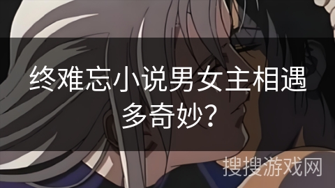 终难忘小说男女主相遇多奇妙？