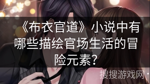 《布衣官道》小说中有哪些描绘官场生活的冒险元素？