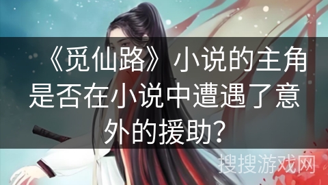 《觅仙路》小说的主角是否在小说中遭遇了意外的援助？