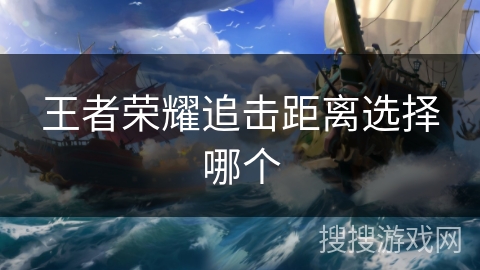 王者荣耀追击距离选择哪个