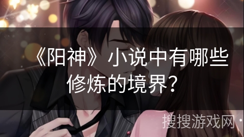 《阳神》小说中有哪些修炼的境界？