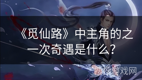 《觅仙路》中主角的之一次奇遇是什么？