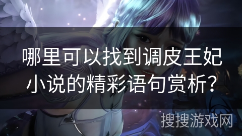 哪里可以找到调皮王妃小说的精彩语句赏析？