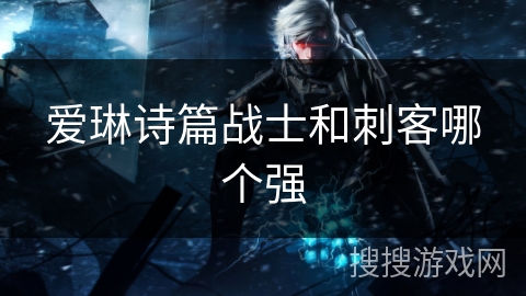 爱琳诗篇战士和刺客哪个强