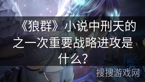 《狼群》小说中刑天的之一次重要战略进攻是什么？