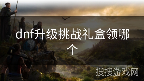 dnf升级挑战礼盒领哪个