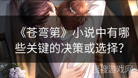 《苍弯第》小说中有哪些关键的决策或选择？