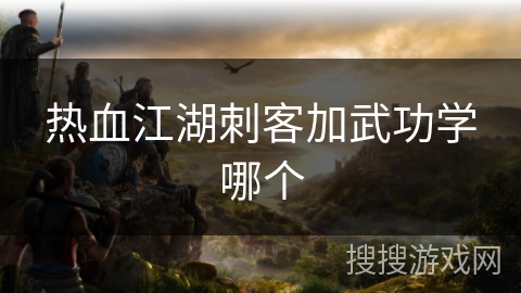 热血江湖刺客加武功学哪个