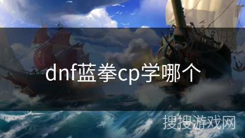 dnf蓝拳cp学哪个