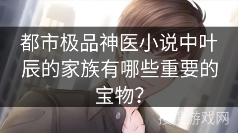 都市极品神医小说中叶辰的家族有哪些重要的宝物？