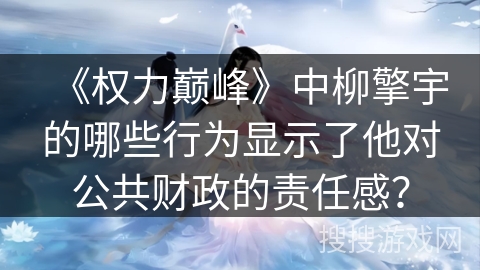 《权力巅峰》中柳擎宇的哪些行为显示了他对公共财政的责任感？
