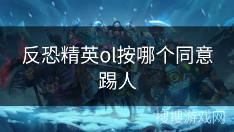 反恐精英ol按哪个同意踢人