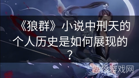 《狼群》小说中刑天的个人历史是如何展现的？
