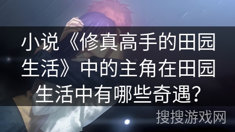 小说《修真高手的田园生活》中的主角在田园生活中有哪些奇遇？