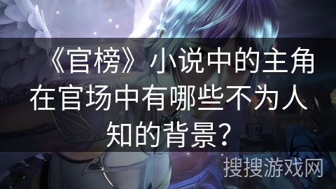 《官榜》小说中的主角在官场中有哪些不为人知的背景？
