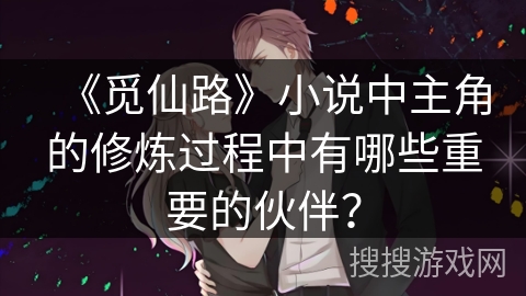《觅仙路》小说中主角的修炼过程中有哪些重要的伙伴？