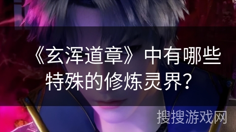 《玄浑道章》中有哪些特殊的修炼灵界？