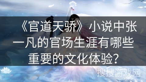 《官道天骄》小说中张一凡的官场生涯有哪些重要的文化体验？