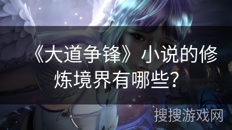 《大道争锋》小说的修炼境界有哪些？