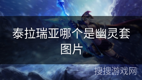 泰拉瑞亚哪个是幽灵套图片