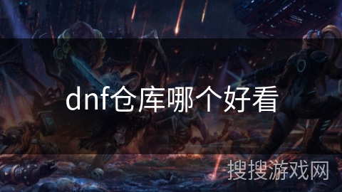 dnf仓库哪个好看