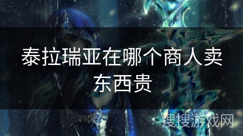 泰拉瑞亚在哪个商人卖东西贵