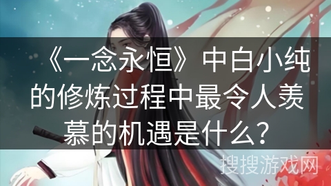 《一念永恒》中白小纯的修炼过程中最令人羡慕的机遇是什么？