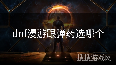 dnf漫游跟弹药选哪个
