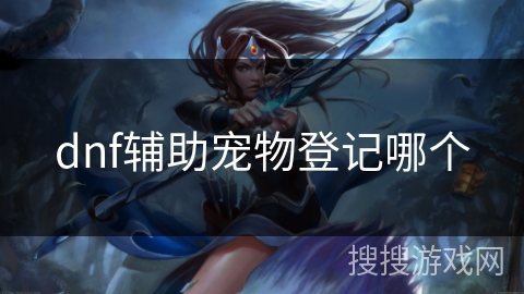 dnf辅助宠物登记哪个