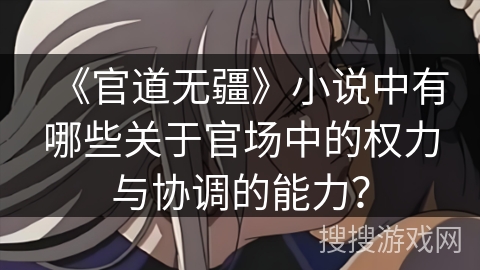 《官道无疆》小说中有哪些关于官场中的权力与协调的能力？