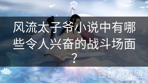 风流太子爷小说中有哪些令人兴奋的战斗场面？
