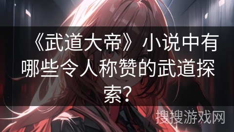 《武道大帝》小说中有哪些令人称赞的武道探索？