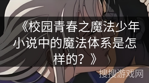 《校园青春之魔法少年小说中的魔法体系是怎样的？》