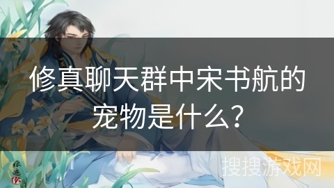 修真聊天群中宋书航的宠物是什么？