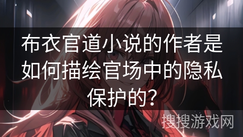 布衣官道小说的作者是如何描绘官场中的隐私保护的？