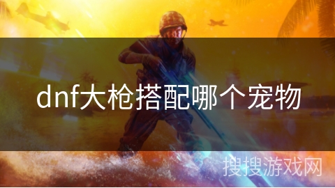 dnf大枪搭配哪个宠物 dnf大枪搭配哪个宠物